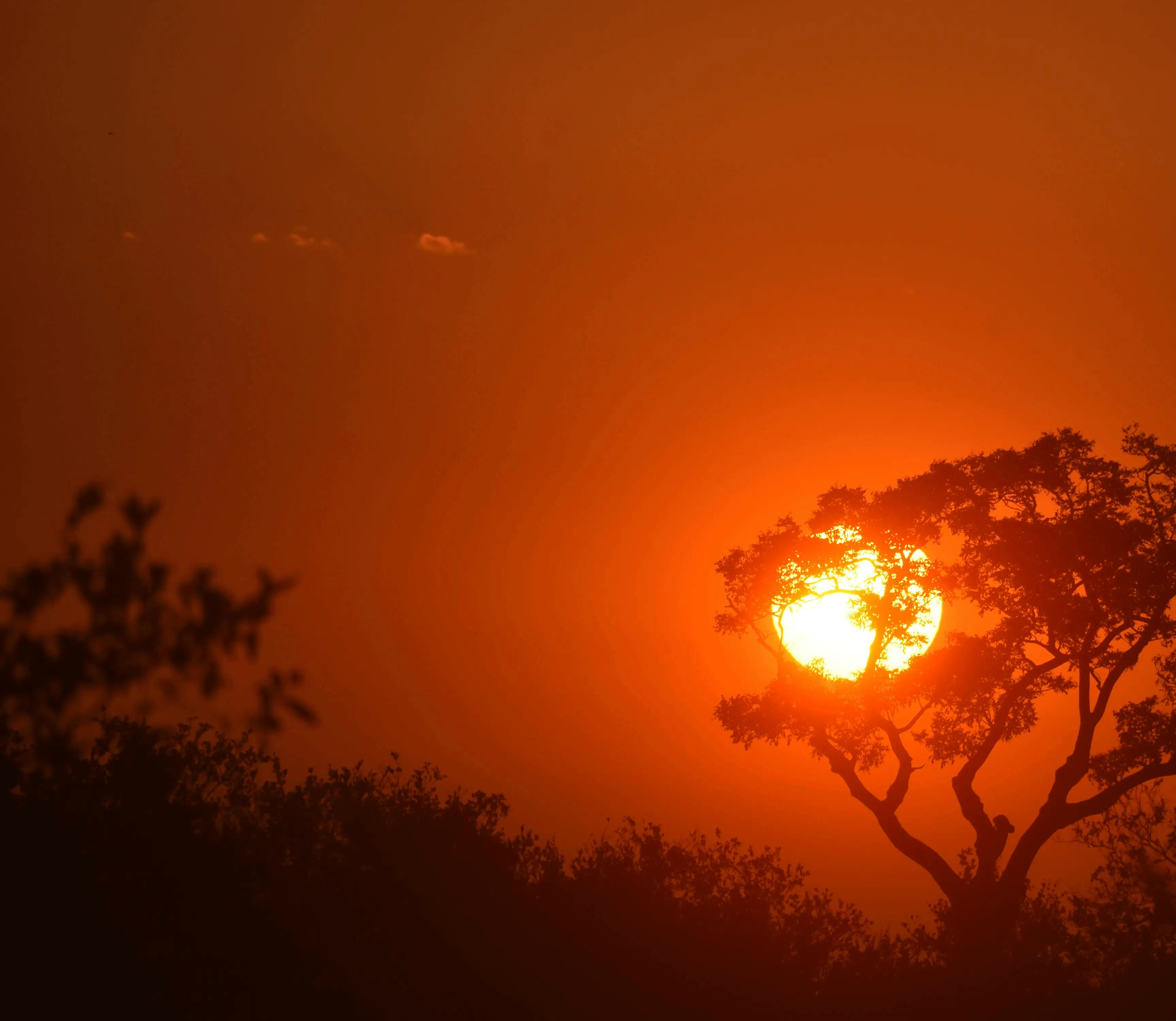 A serene sunset over the Lowveld, representing the practice's location.